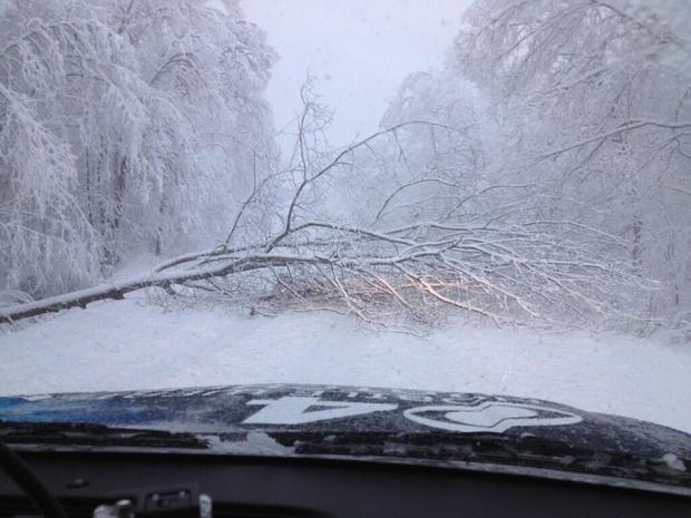 snow-in-wisconsin-tree-down.jpg 