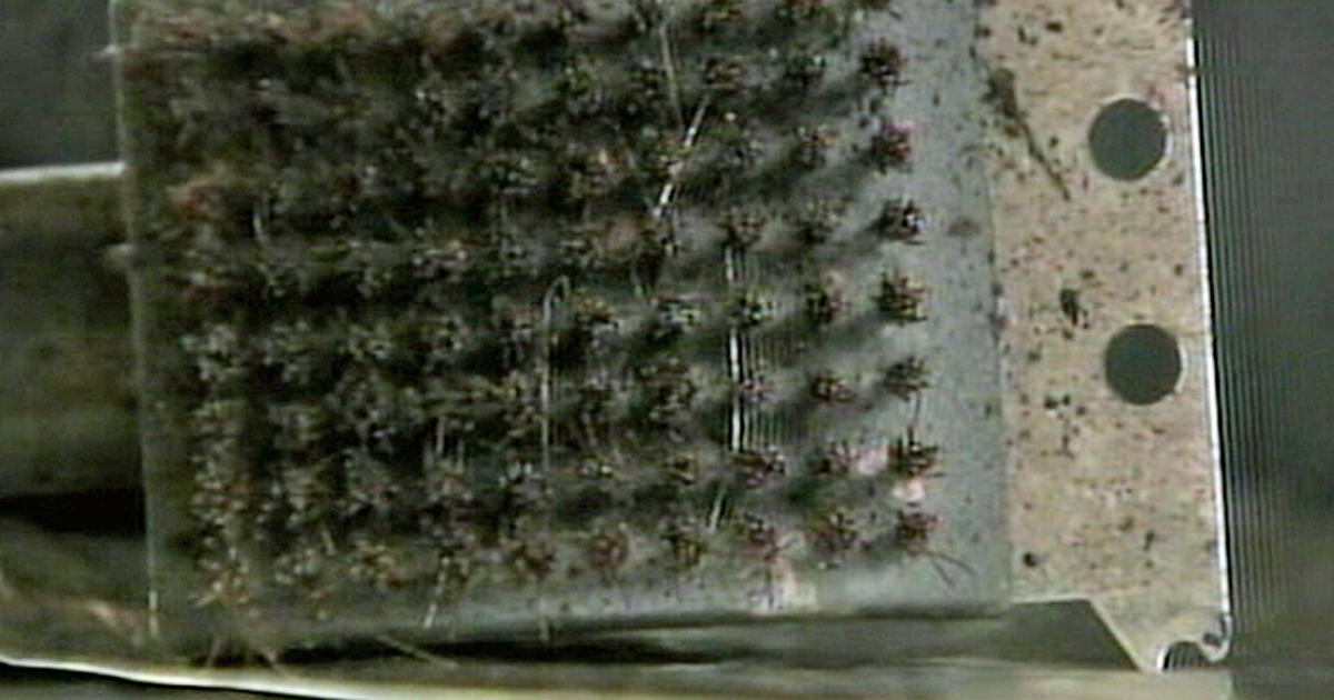 Hundreds of Americans Are Hospitalized After Eating Pieces of Wire Grill  Brushes - Bloomberg