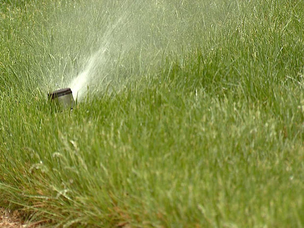 Denver Water Sprinkler Grass Lawn 