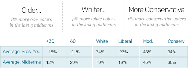 Voter demographic chart 