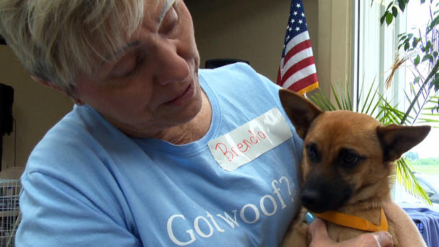 Okla. rescue brings dogs back to their owners 