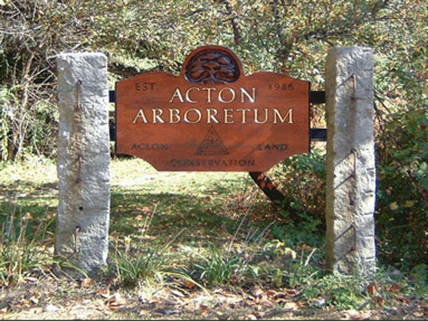 Acton Arboretum 
