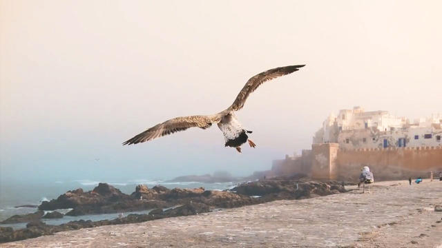 Time Lapse: Watchtower of Morocco 