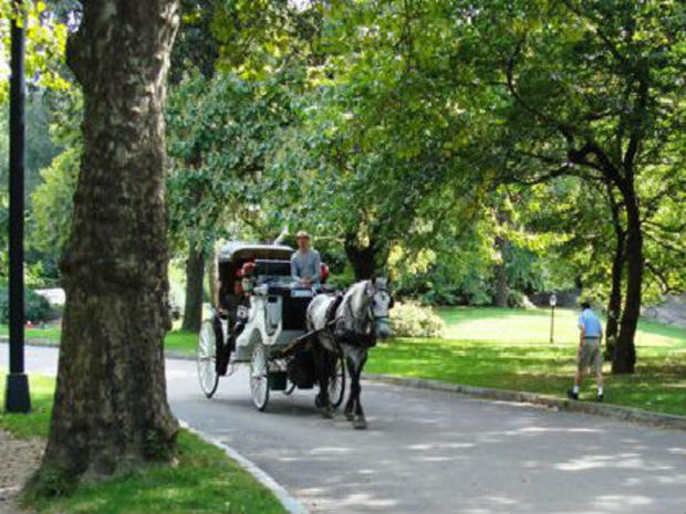 Carriage Central Park 