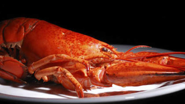 lobster.jpg 