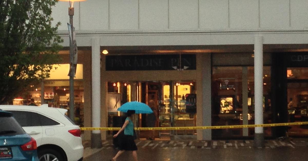 Jewelry store robber shot at Oakbrook Center, 2 sought