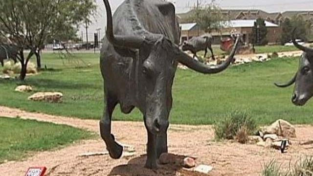 texasbull.jpg 