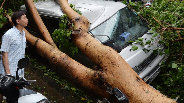 A man views a vehicle damaged by fallen trees after Typhoon Soulik hit Taipei, Taiwan, July 13, 2013. 