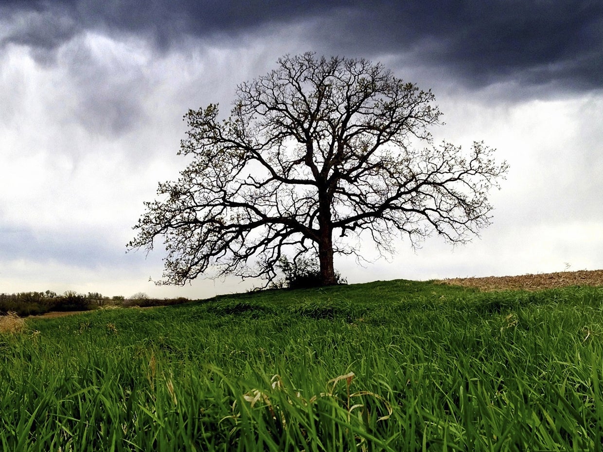 Mark Hirsch photographs 