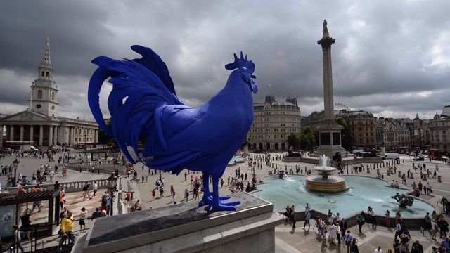 A giant blue rooster is unveiled in central London's Trafalgar Square on July 25, 2013.  