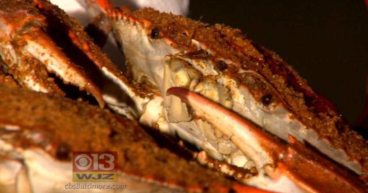 68th Annual Annapolis Rotary Club Crab Feast Goes Green For Local