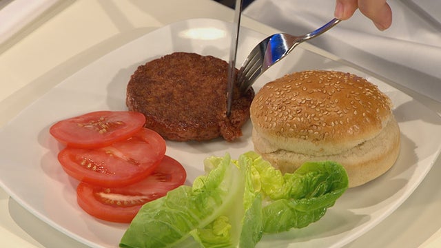 A food expert cuts into a patty of beef grown entirely from bovine stem cells  