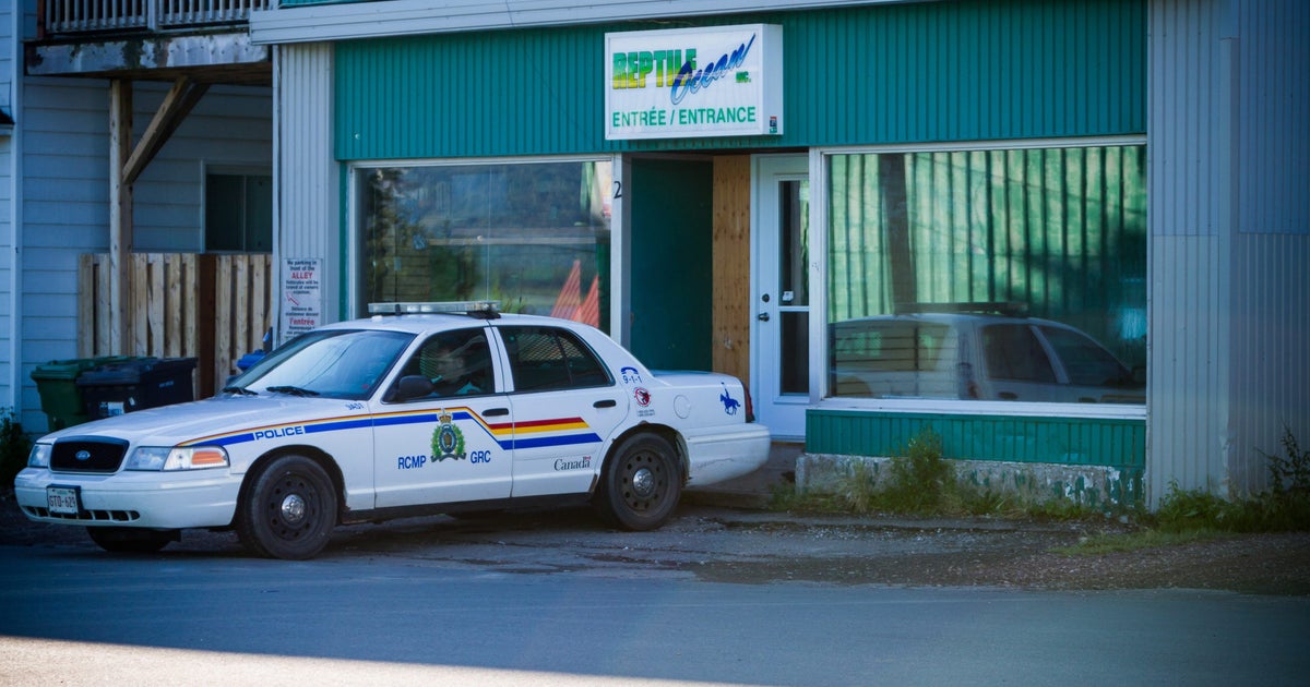 Exotic animals to be removed from Canada pet shop that housed killer ...