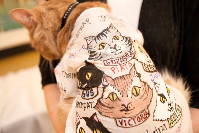 012_130807_CatFashion20.jpg 