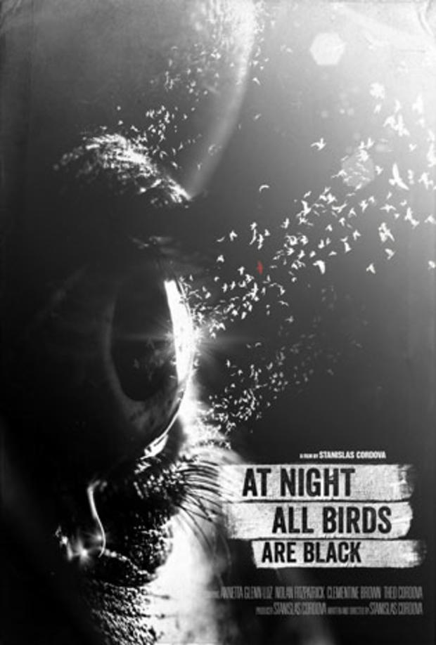 "At Night All Birds Are Black" movie poster 