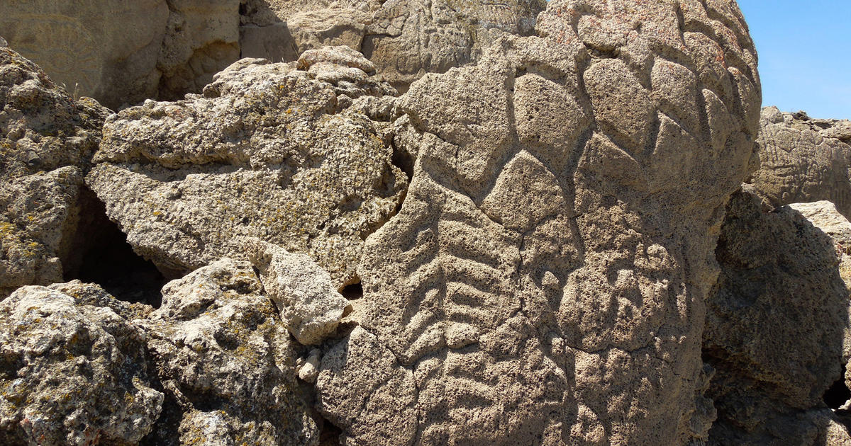 Nevada Petroglyphs The Oldest In North America CBS News   AP625455054065 