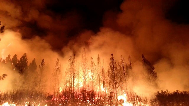 A firefighter from the Ebbetts Pass Fire District uses a drip torch to light a back fire while battling the Rim Fire Aug. 21, 2013, in Groveland, Calif. 