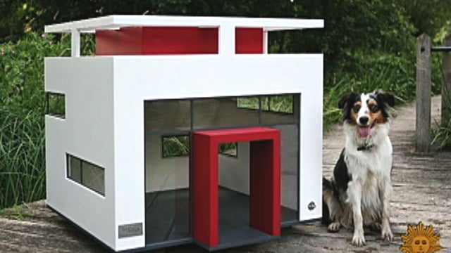 Doghouse designs that rival their master's domain 