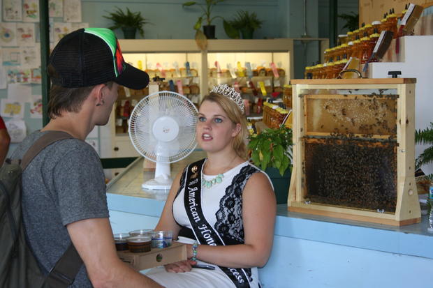  Honey &amp; Bees At The Minnesota State Fair  