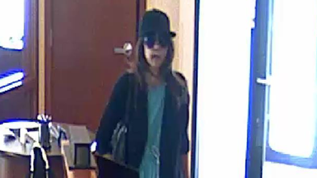 Hudson Bank Robbery Suspect 