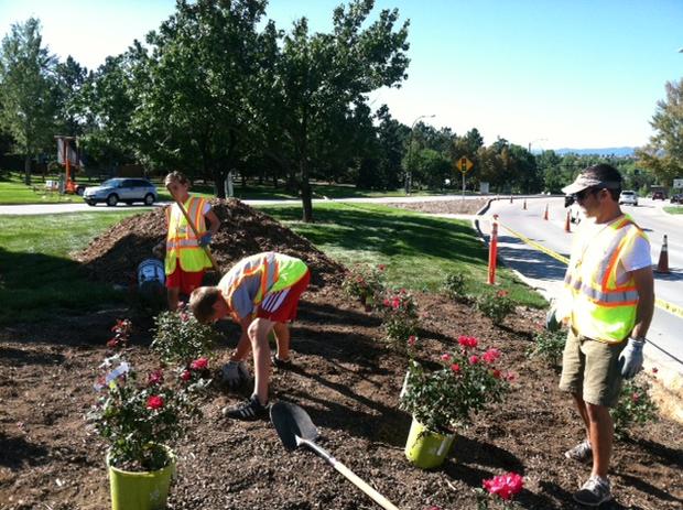 day-of-service-37-highlands-ranch-credit-carrie-ward.jpg 
