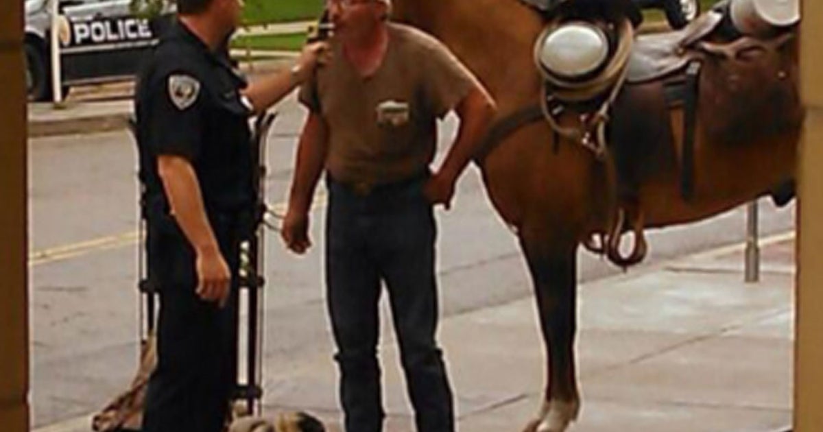 DUI on Horseback: Colo. man arrested for suspected equine alcohol ...