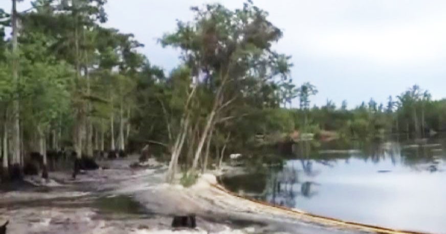 3D seismic images of Louisiana sinkhole released CBS News
