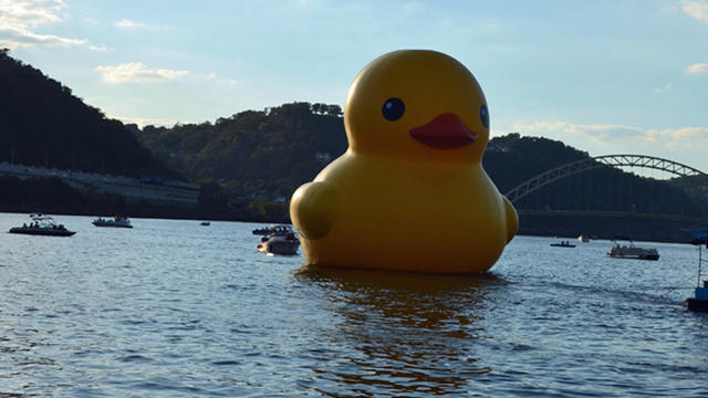 rubberduck_dl1.jpg 