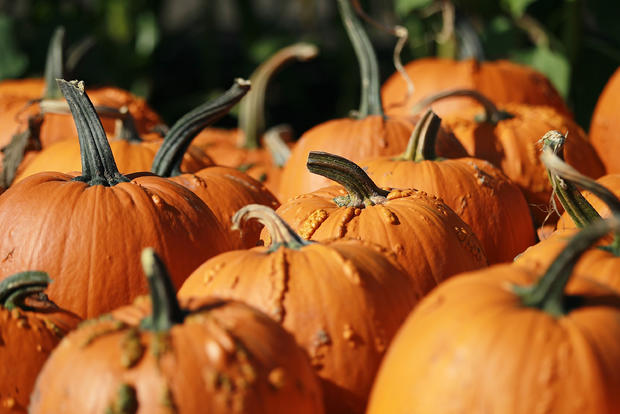 Preparations For Halloween Continue As Weekend Festivities Approach 