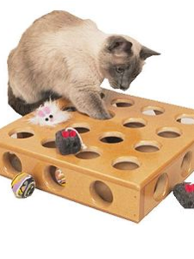 Peek-A-Prize Interactive Cat Toy 