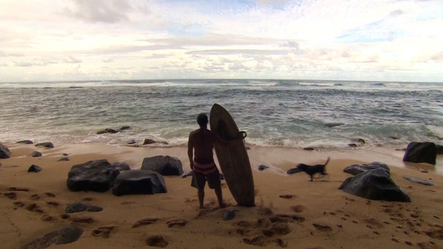Shark attack: Man fights off shark with punch to eye 