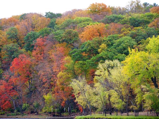 fall-colors-joanne-lemonds-st-croix-river.jpg 