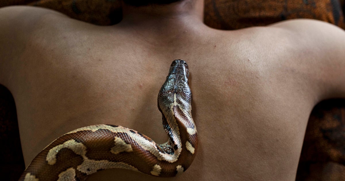 A slithering spa experience