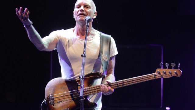sting-173967470.jpg 