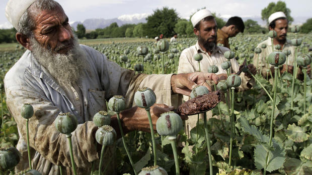 Afghanistan's opium problem 