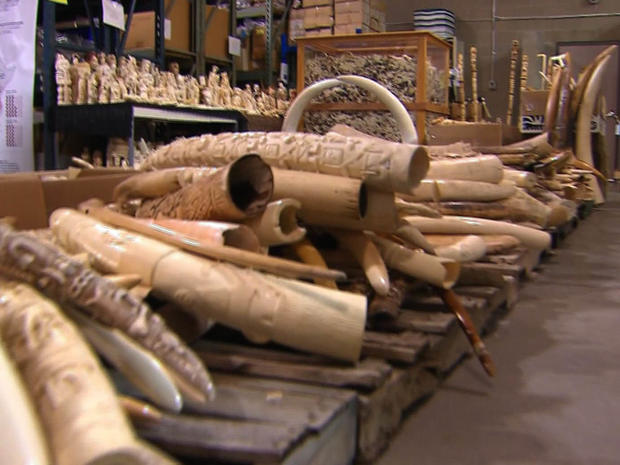ivory objects seized by U.S. authorities 