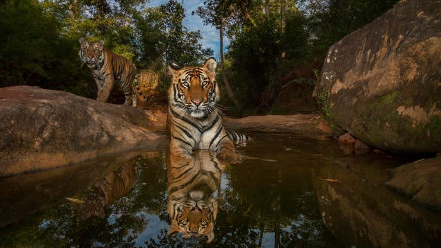 001_Book Lecture  81.jpg 