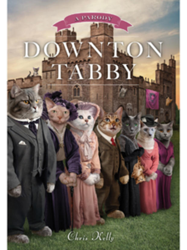 Downtown Tabby 
