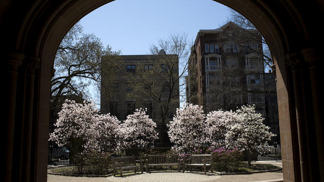 yale_campus_80729271.jpg 