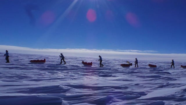 Team Noom Coach.jpgcomp.jpg 