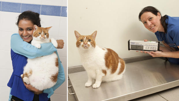 008_Prince from Derby lost almost 1kg after taking part in PDSA Pet Fit Club.jpg 