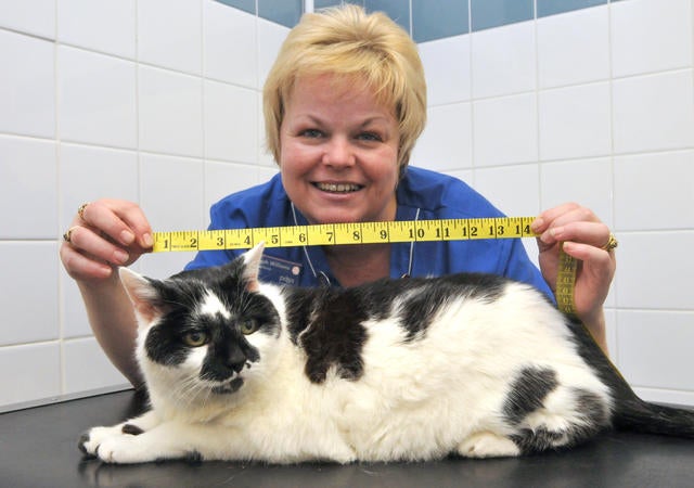 015_AFTER Cookie lost 7 inches off her waist & the same from her chest.jpg 