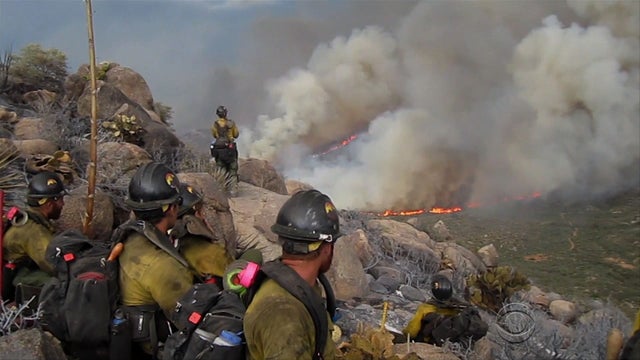 hotshots_three.jpg 
