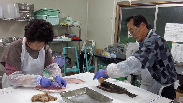 Workers prepare fish samples for radiation testing at the Marine Ecology Research Institute 