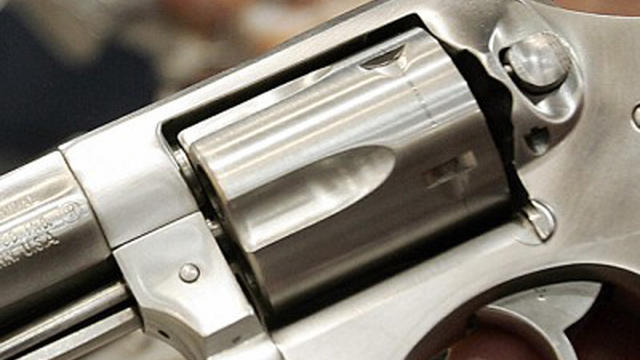 A stainless steel revolver on table - gun, handgun, generic 