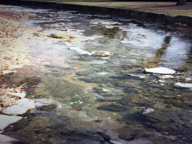 darby-creek-frozen-over.jpg 
