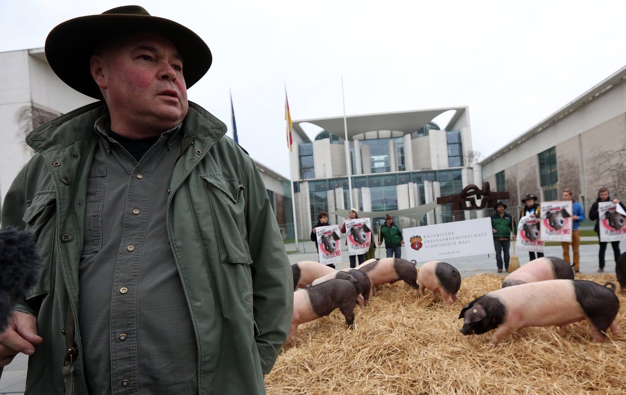 German protest goes hog wild