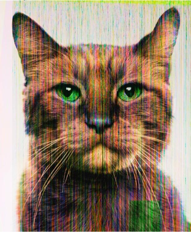 004_Glitch-Cat-Morris.jpg 
