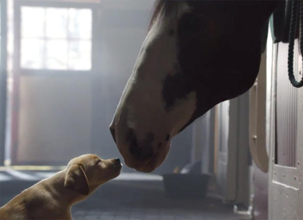 Super Bowl commercials 2014: Watch, and vote in our poll! 