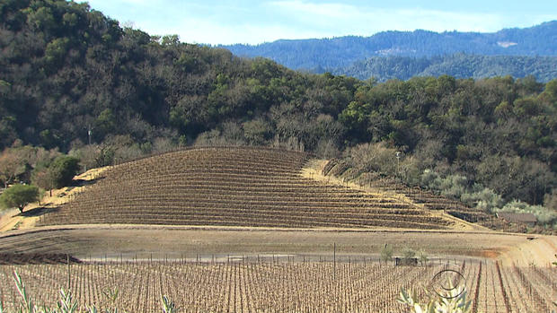 vineyards-california.jpg 